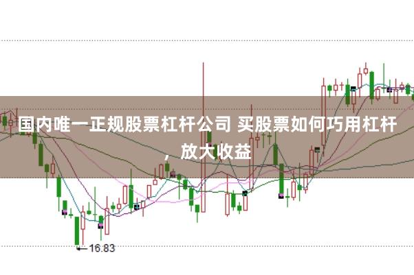 国内唯一正规股票杠杆公司 买股票如何巧用杠杆，放大收益