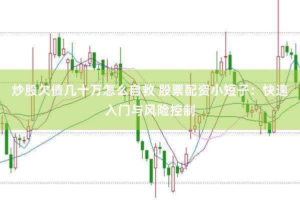 炒股欠债几十万怎么自救 股票配资小短子：快速入门与风险控制