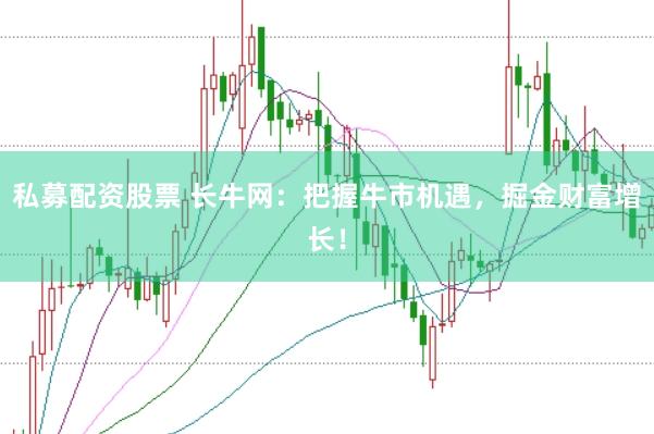 私募配资股票 长牛网：把握牛市机遇，掘金财富增长！