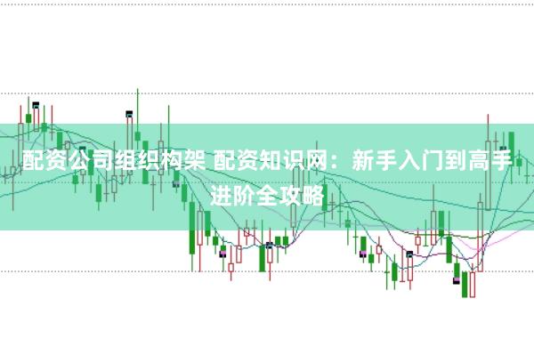 配资公司组织构架 配资知识网：新手入门到高手进阶全攻略
