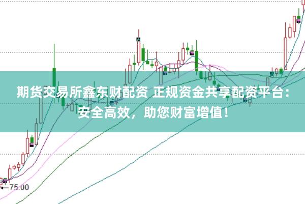 期货交易所鑫东财配资 正规资金共享配资平台：安全高效，助您财富增值！