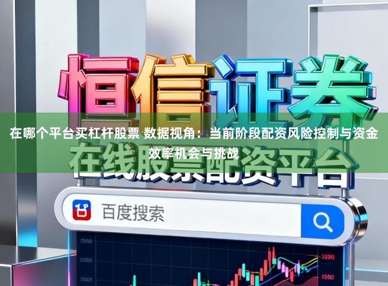 在哪个平台买杠杆股票 数据视角：当前阶段配资风险控制与资金效率机会与挑战